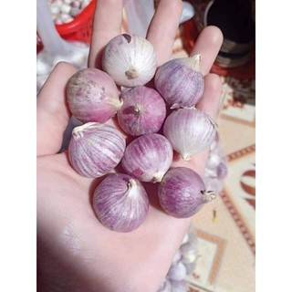 500g tỏi cô đơn.