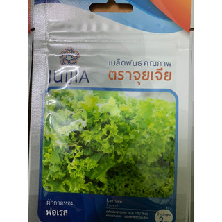 Hạt giống xà lách xoăn xanh nhập khẩu thái lan nguyên bao bì