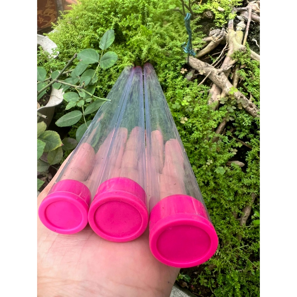 Ống Đựng Phao dạng nhỏ  Tiểu Phượng Hoàng , chất liệu acrylic bền bỉ