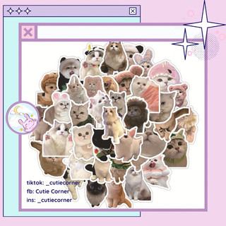 Set 10/20 miếng sticker bé mèo xinh xắn