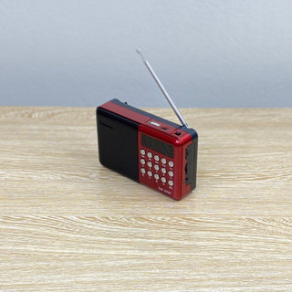 Đài Radio SW-69BT