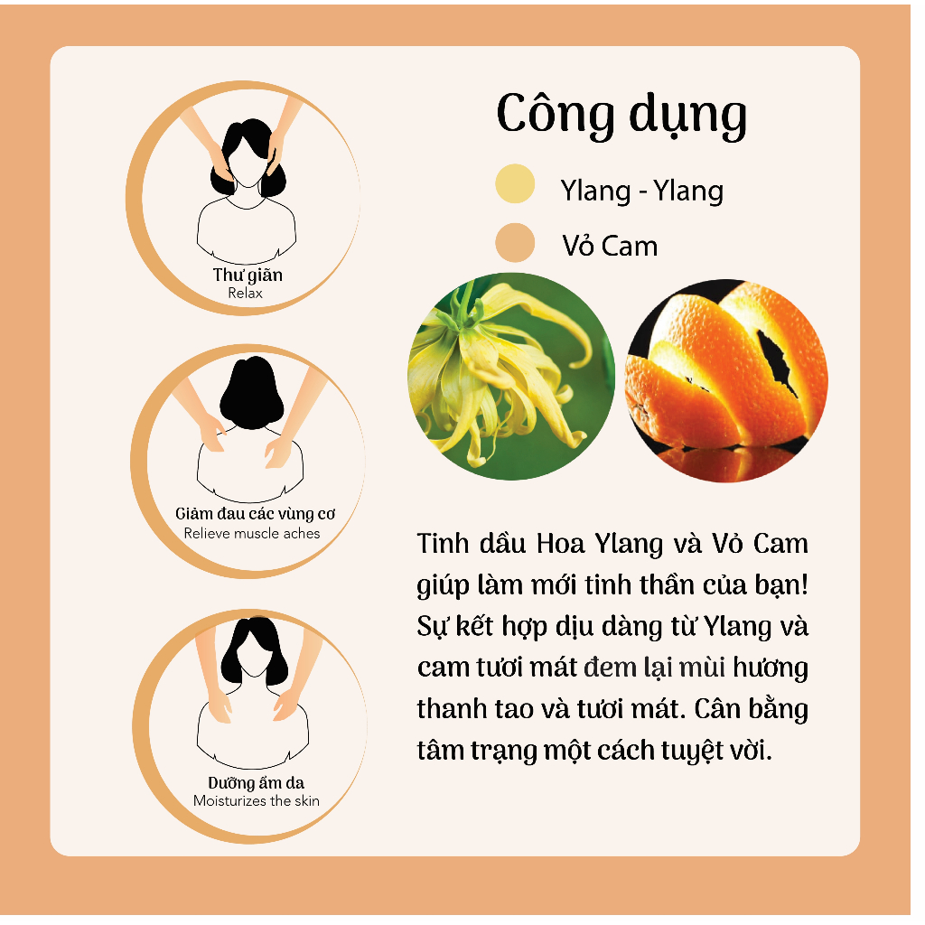 Dầu Massage Body Cân Bằng LÁ NHỎ, từ các loại dầu thiên nhiên lành tính, thư giãn tinh thần, làm dịu làn da của bạn.