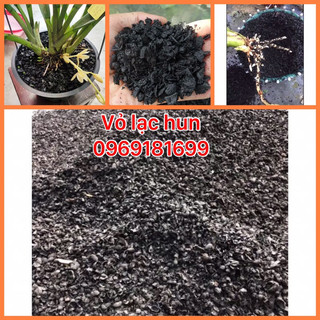 1kg vỏ lạc hun trồng hoa lan, cây cảnh, giá thể trồng lan kiếm đã qua xử lý