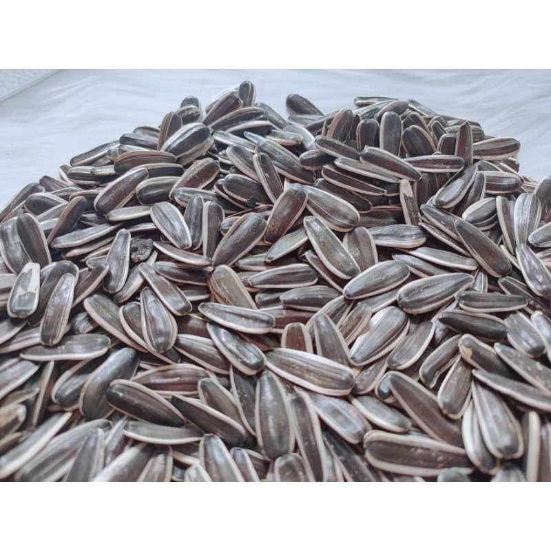(100GR)Hướng dương sọc/ đen- thức ăn cho hamster, chim, vẹt, yến phụng....