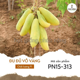 Hạt giống đu đủ vỏ vàng - 10 hạt