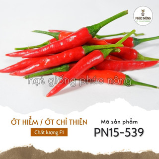 Hạt giống cây ớt hiểm - 40 hạt