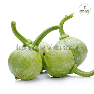 Hạt giống Bí Ngồi Tròn - 10 Hạt