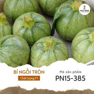 Hạt giống bí ngồi tròn - 10 hạt