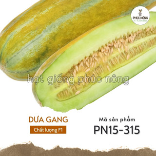 Hạt giống dưa gang cao sản - 50 hạt