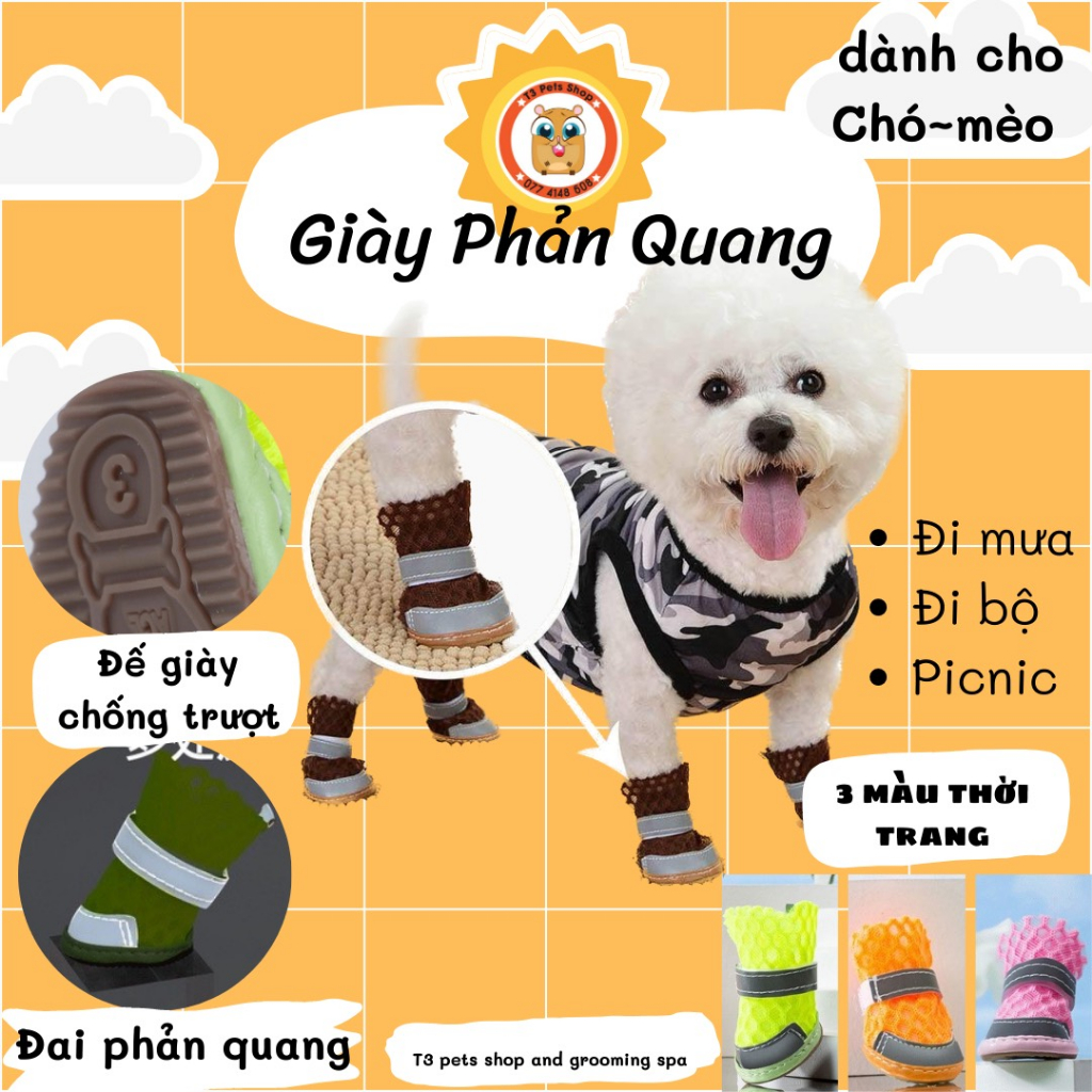 giày dạ quang đi mưa /đi bộ/ picnic cho chó