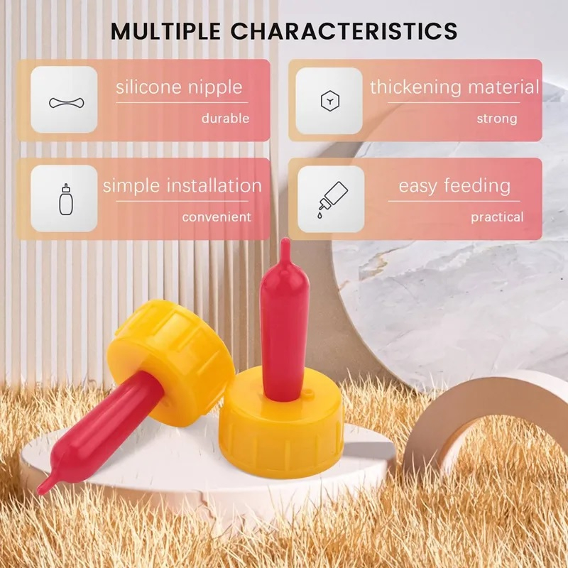 Núm vú cho dê con