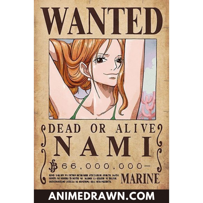 Poster One Piece Anime Manga Vua Hải Tặc Luffy Zoro Nami Ussop Ace Robin GIẤY DECAL Tranh Dán Tường Anime One Piece