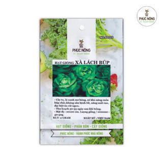 Hạt giống Xà Lách Búp - 2 Gram
