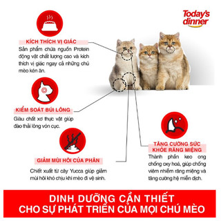 Thức ăn hạt cho mèo Catsrang/ Today Dinner (bao 5kg)