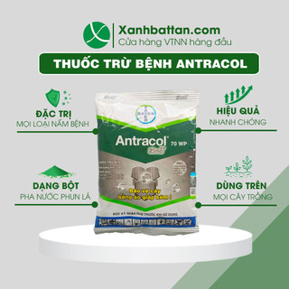 Antracol Trừ Nấm Bệnh Hại Cho Phong Lan