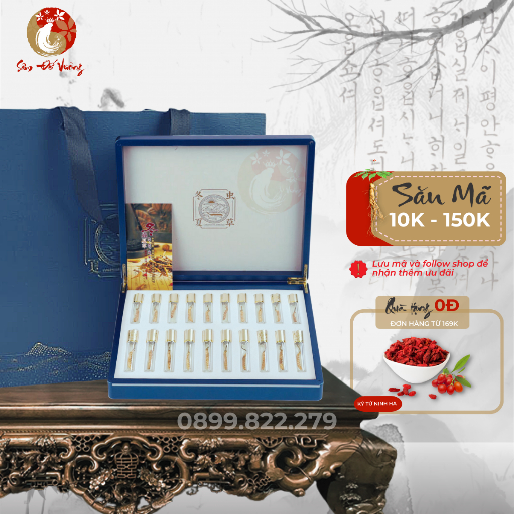 Hộp Đông Trùng Nguyên Con Bhutan Sang Trọng, Đẳng Cấp - Đông Trùng Size To - Quà Tặng Sức Khỏe Quý Giá - Sâm Đế Vương