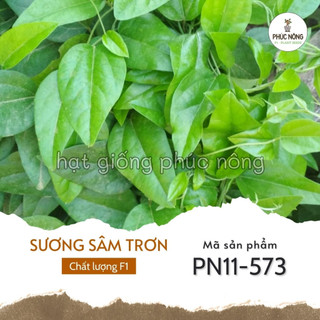 Hạt giống Sương Sâm - 30 Hạt