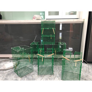 Lồng Bẫy Chim Khuyên Tự Động(CHUYÊN KHUYÊN) (TẶNG:1 đôi cóng nhựa)