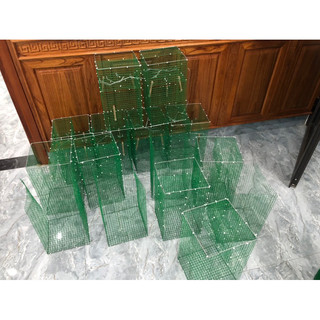 Lồng Bẫy Chim Khuyên Tự Động(CHUYÊN KHUYÊN) (TẶNG:1 đôi cóng nhựa)