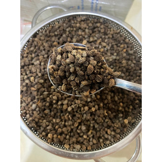 600 hạt giống đu đủ đực f1