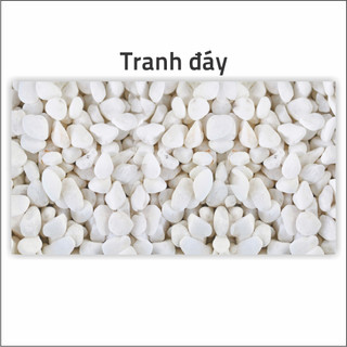 Tranh decal dán hồ cá 3d mẫu mới
