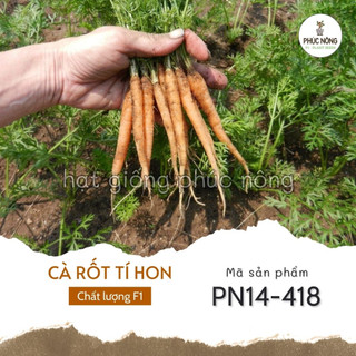 Hạt giống cà rốt tí hon - 0,5 gram