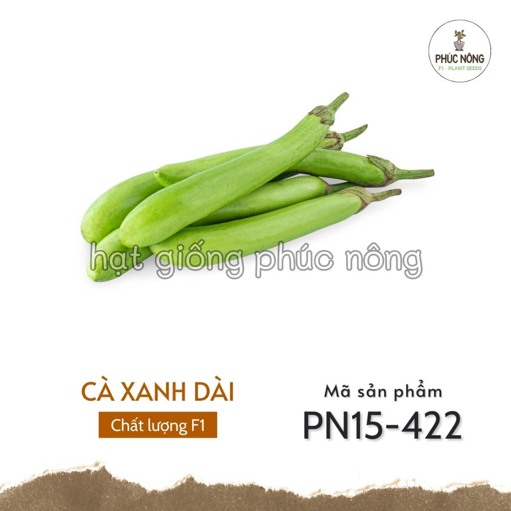 Hạt giống Cà Xanh Dài - 1 gram
