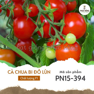 Hạt giống cà chua bi đỏ lùn - 30 hạt