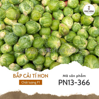 Hạt giống bắp cải tí hon xanh - 100 hạt