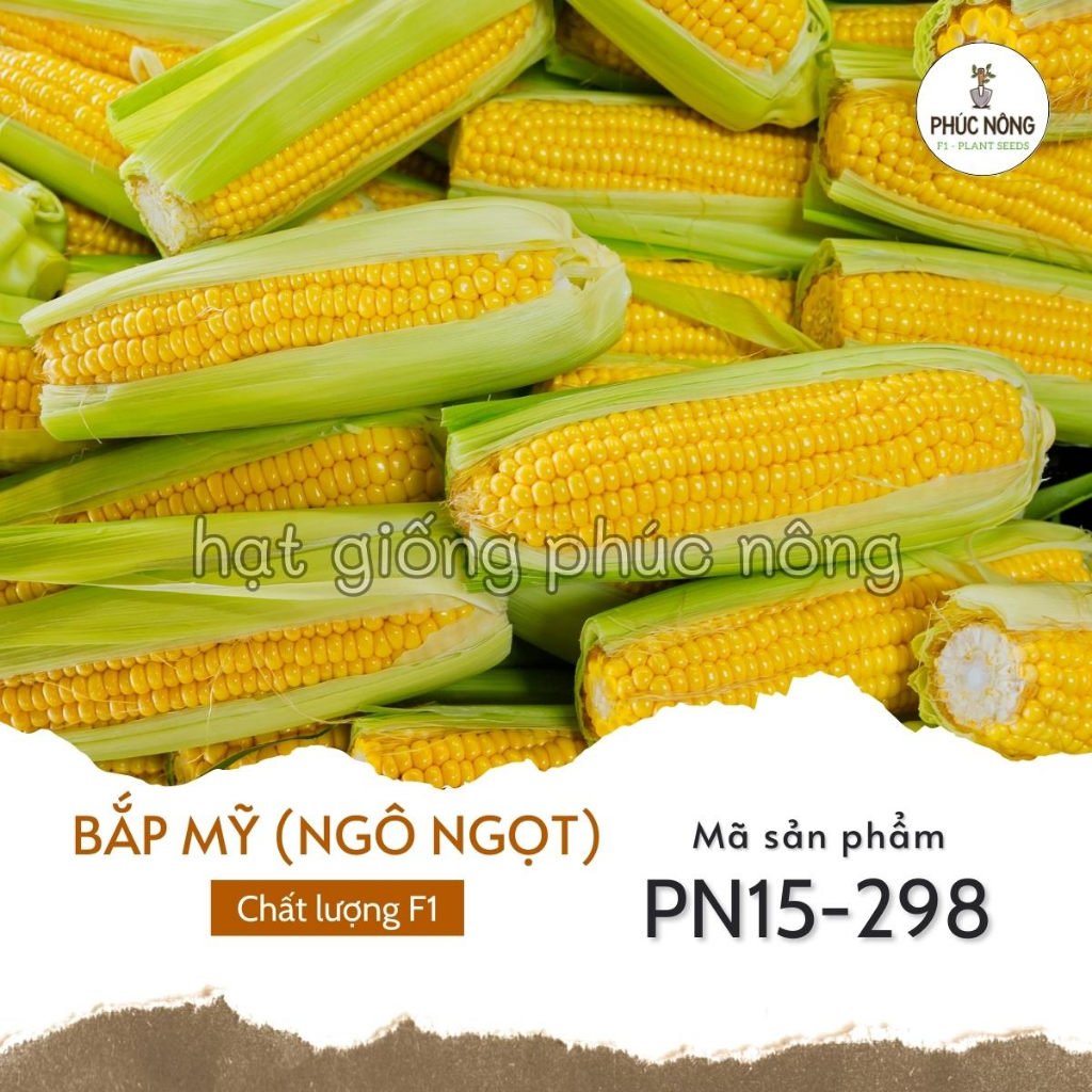 Hạt giống Bắp Mỹ ( Ngô ngọt ) - 10 Gram