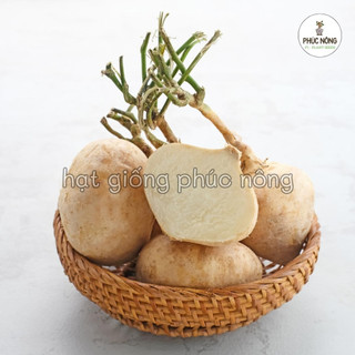 Hạt giống Củ Đậu ( Củ Sắn Dây ) - 40 Hạt