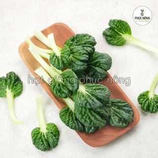 Hạt giống Cải Hoa Hồng - 5 gram
