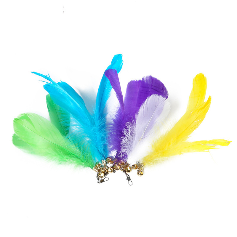 LÔNG GÀ/LÔNG VŨ THAY CẦN CÂU CHO MÈO