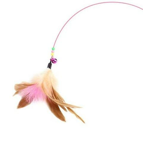 LÔNG GÀ/LÔNG VŨ THAY CẦN CÂU CHO MÈO