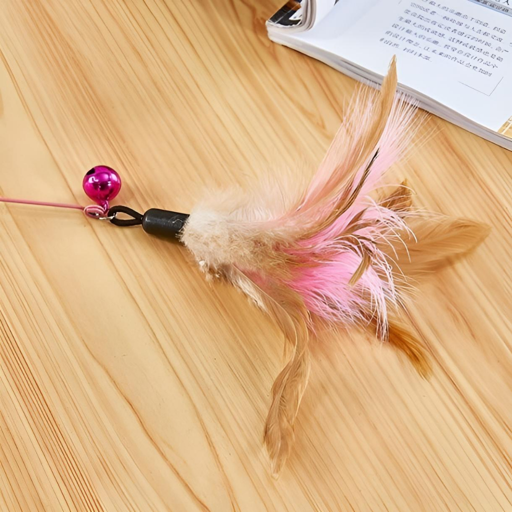 LÔNG GÀ/LÔNG VŨ THAY CẦN CÂU CHO MÈO