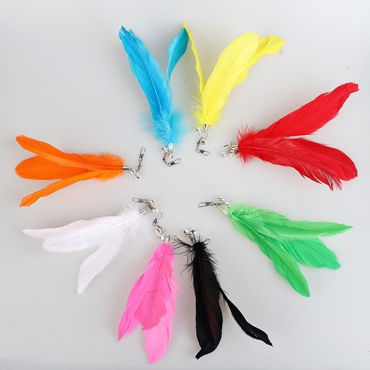 LÔNG GÀ/LÔNG VŨ THAY CẦN CÂU CHO MÈO