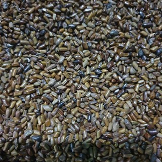 hạt muồng 1kg