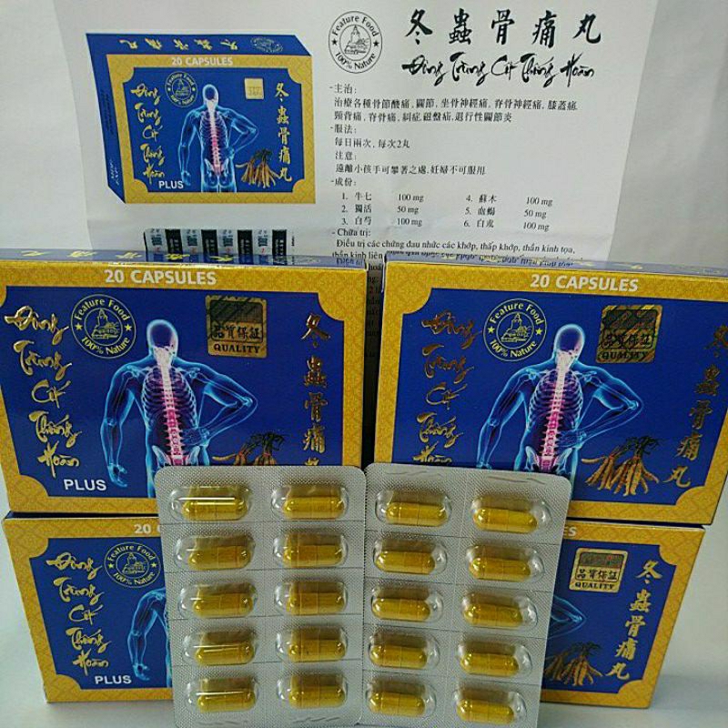 Đông Trùng Cốt Thống Hoàn. Mẫu mới Plus. Hỗ trợ thoái hóa xương khớp. Hộp vĩ 20 viên