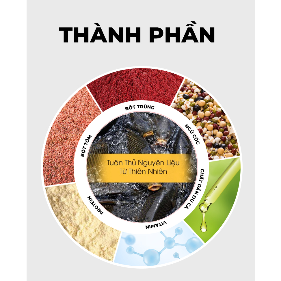 Mồi Câu GUF Gấu Vương - Chép