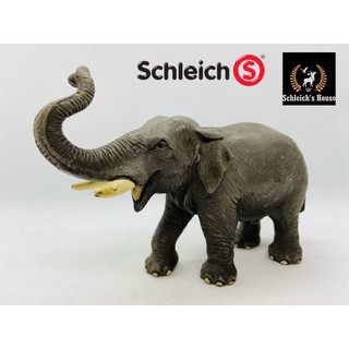 Mô hình động vật , đồ chơi con vật Schleich chính hãng Voi châu á đực 14144 - Schleich House