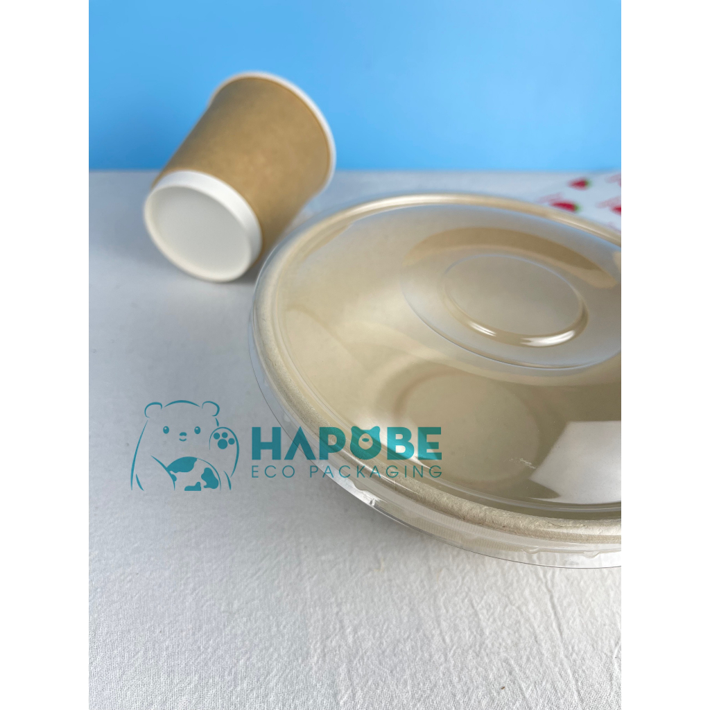 Combo 10 bát bã mía 850ml BBZ008 Hapobe