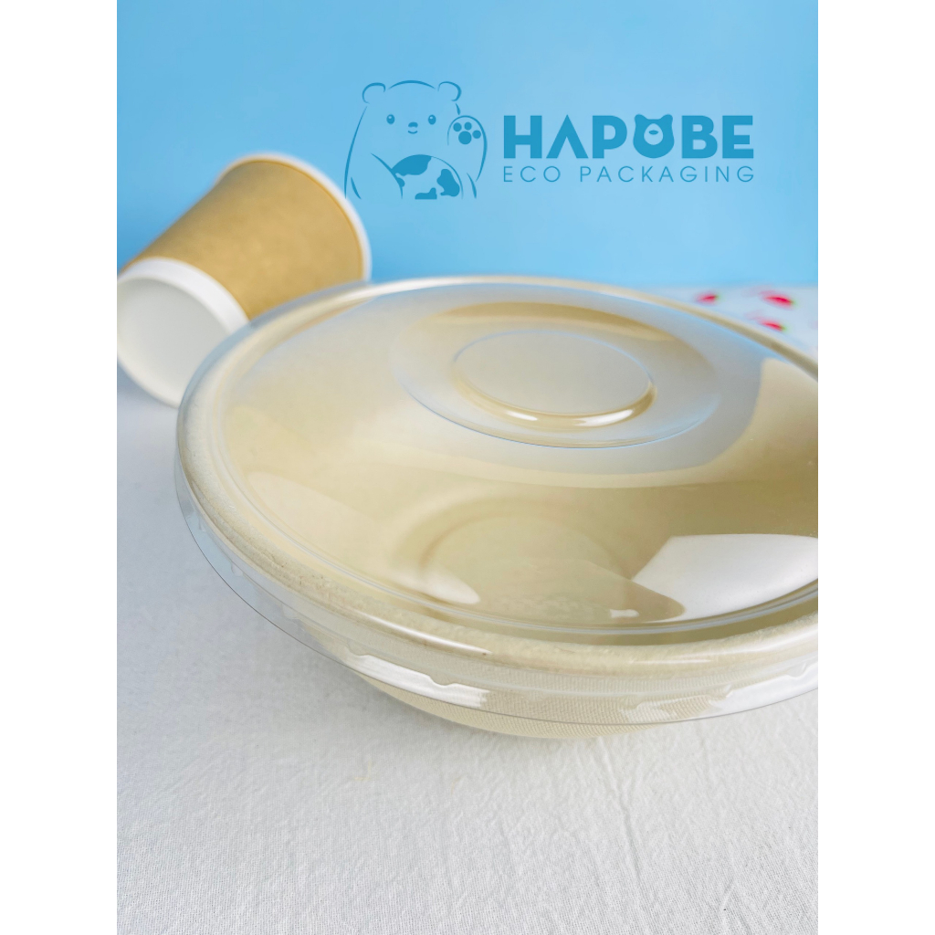 Combo 10 bát bã mía 850ml BBZ008 Hapobe