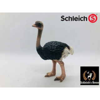 Mô hình động vật , đồ chơi con vật Schleich chính hãng chim Đà Điểu 14325 - Schleich House