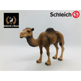 Mô hình động vật , đồ chơi con vật Schleich chính vật Schleich Lạc đà 1 bướu 14355 (trầy ít) - Schleich House