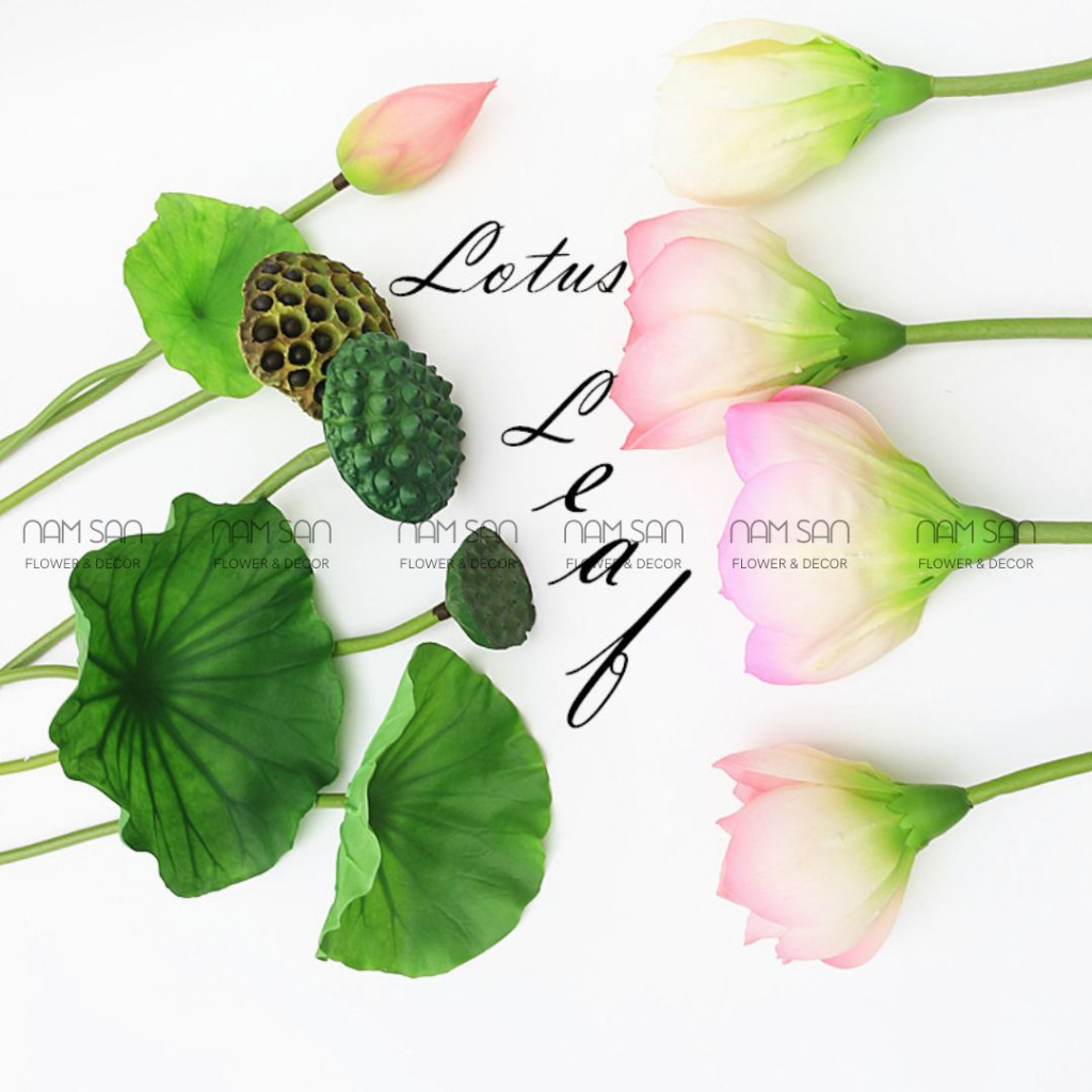 Hoa sen nở to Bông Cao Su PU các loại 24 30 cm trang trí cao cấp