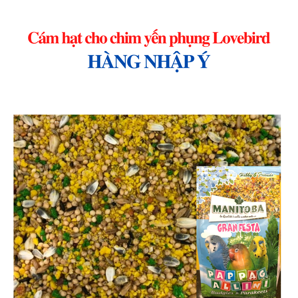 Cám hạt Manitoba cho yến phụng , love bird, vẹt nhỏ hàng ý bị 500g nguyên seal