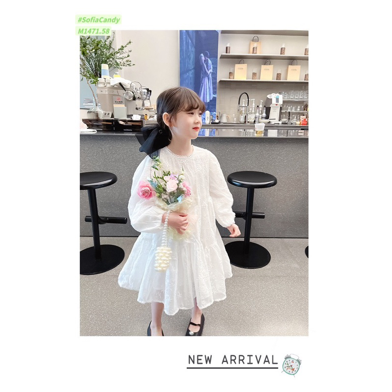 Váy trắng dài tay thêu hoa Sofia