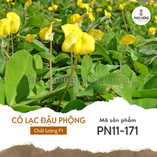 Hạt giống cỏ lạc - 10 hạt