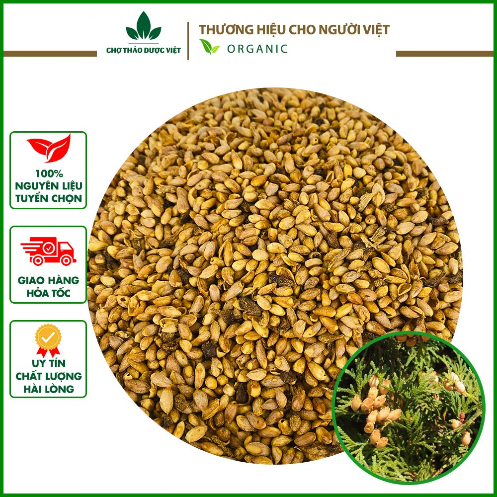 Bá tử nhân khô 500g, hạt trắc bách diệp, giúp dưỡng tâm an thần, ngủ ngon, hỗ trợ tiêu hóa