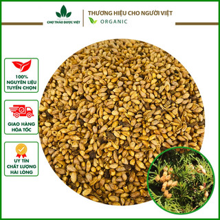 100gr Bá Tử Nhân (Khô, Sạch, Đẹp) - Trắc Bách Diệp